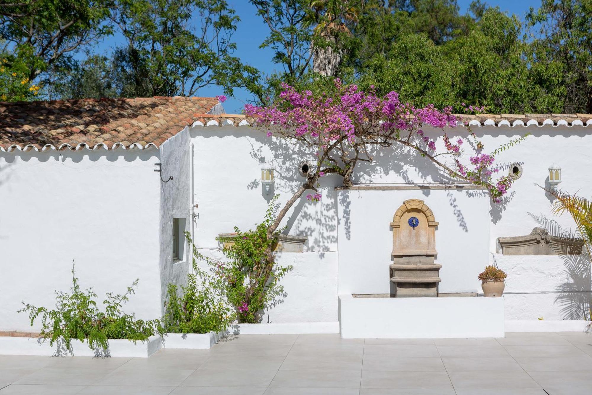 Amago Guesthouse Santa Bárbara de Nexe Kültér fotó